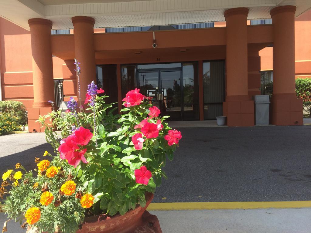 Luxury Suites Ferry Pass Exterior foto
